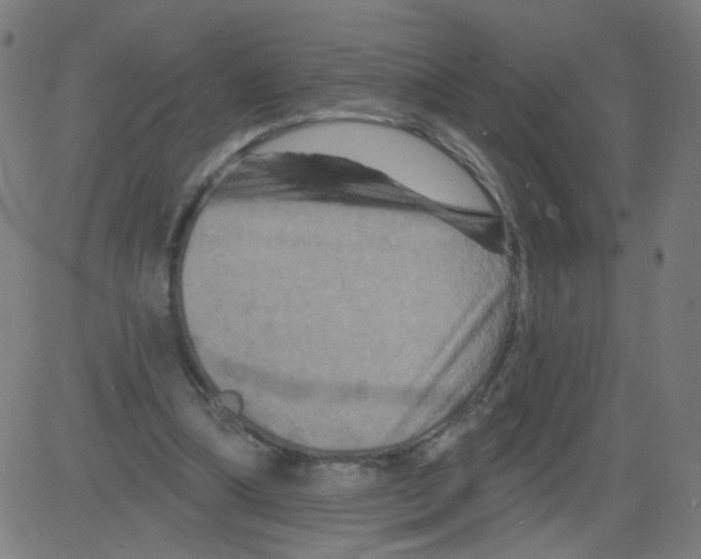 X0000081440298200702092231