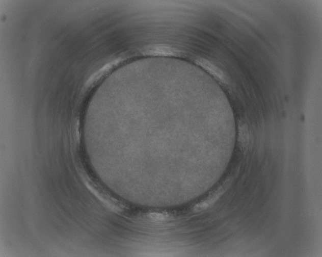 X0000081440302200702092231