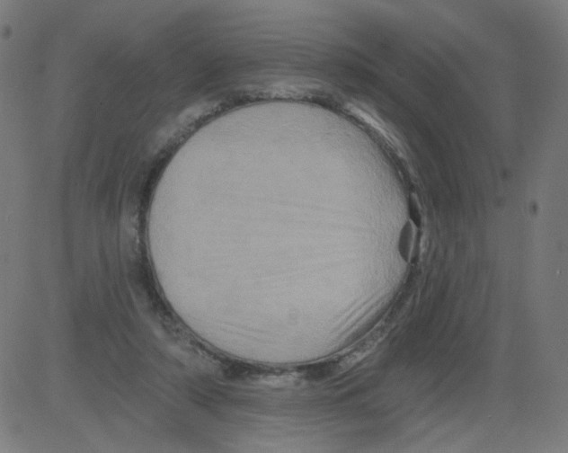 X0000081440306200702092231