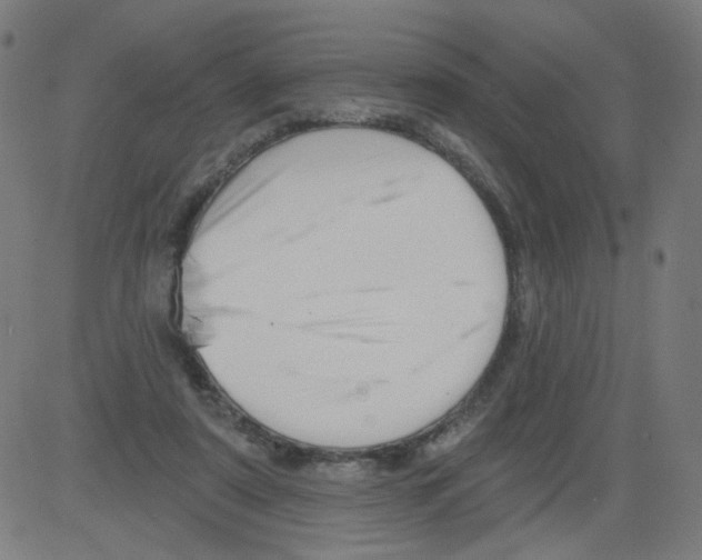 X0000081440307200702092231