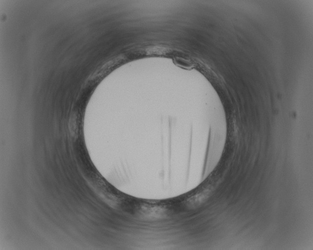 X0000081440311200702092231
