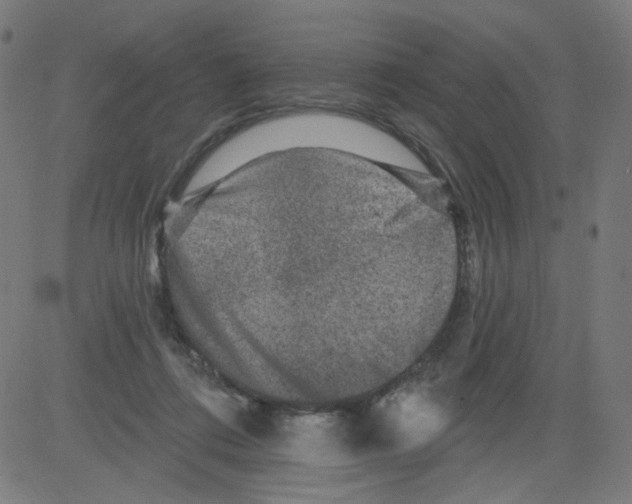 X0000081440312200702092231