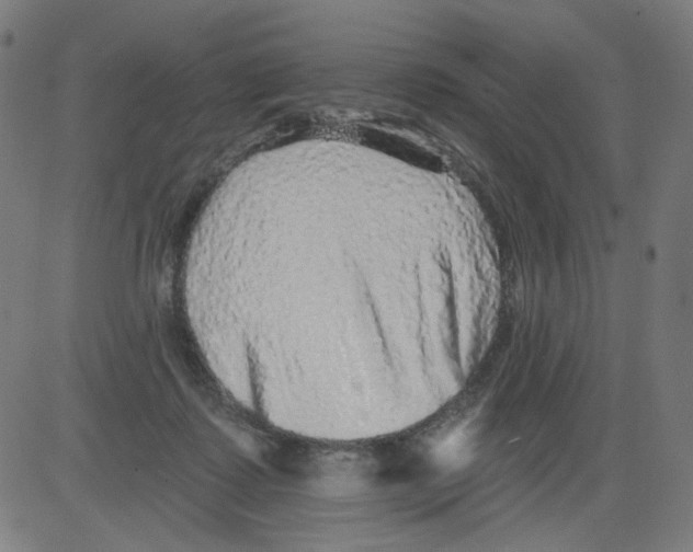 X0000081440315200702092231