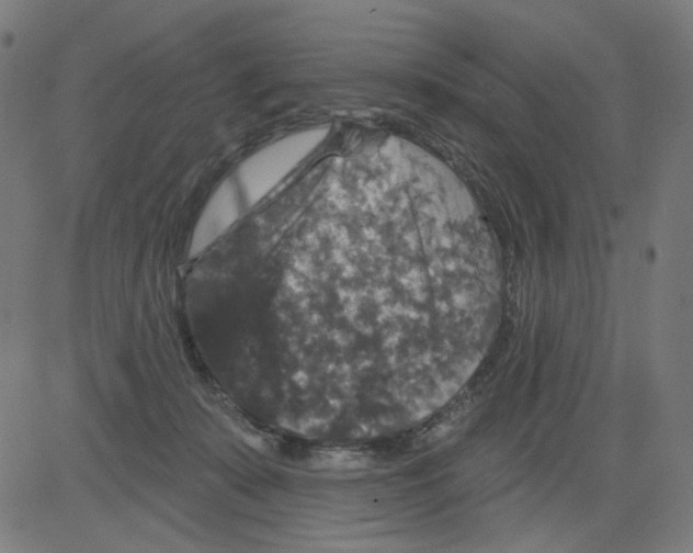 X0000081440319200702092231