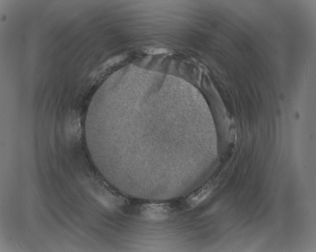 X0000081440320200702092231