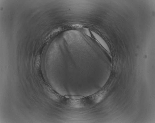 X0000081440325200702092231