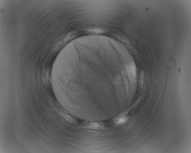 X0000081440330200702092231