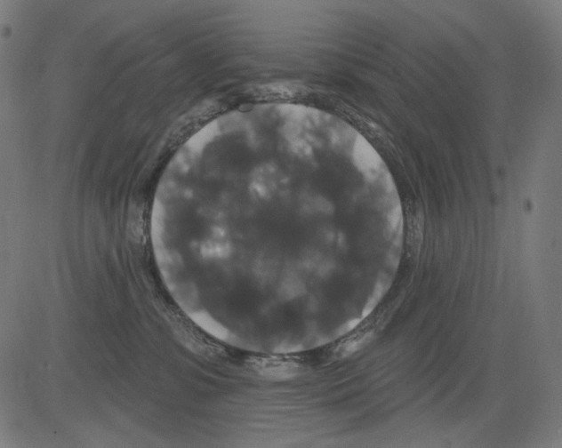 X0000081440331200702092231