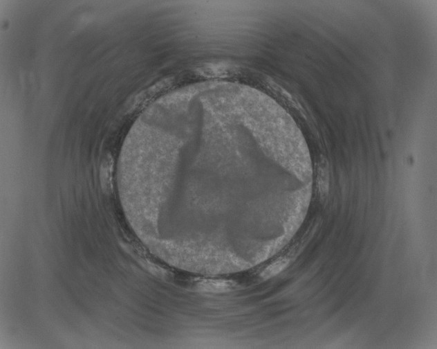 X0000081440332200702092231