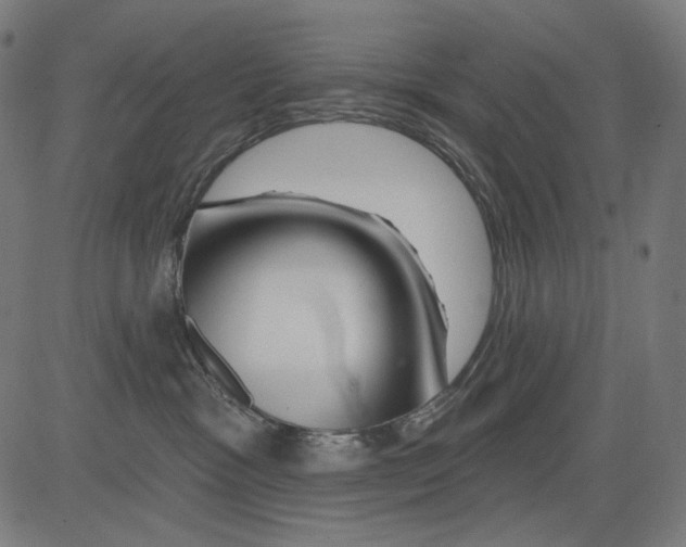 X0000081440333200702092231