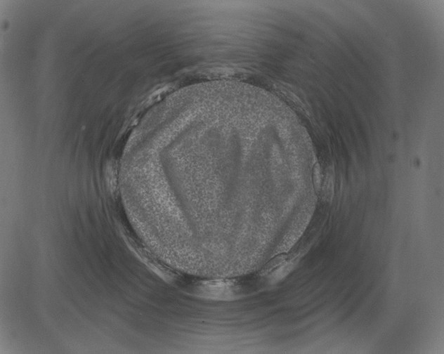 X0000081440335200702092231