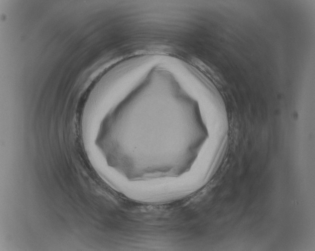 X0000081440338200702092230