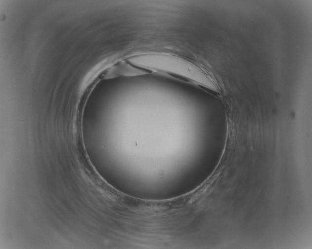 X0000081440340200702092230