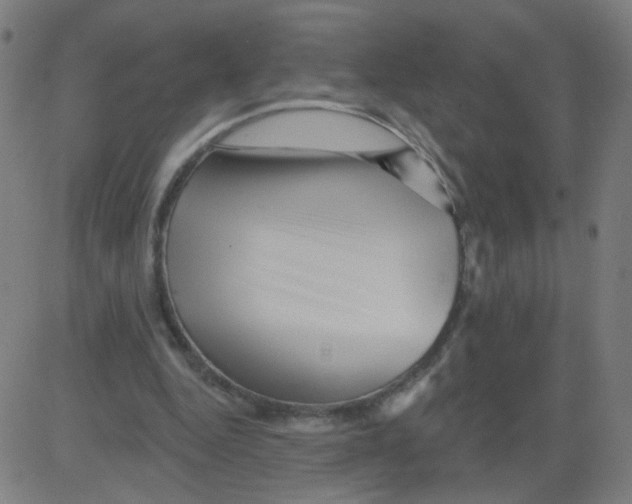 X0000081440344200702092230
