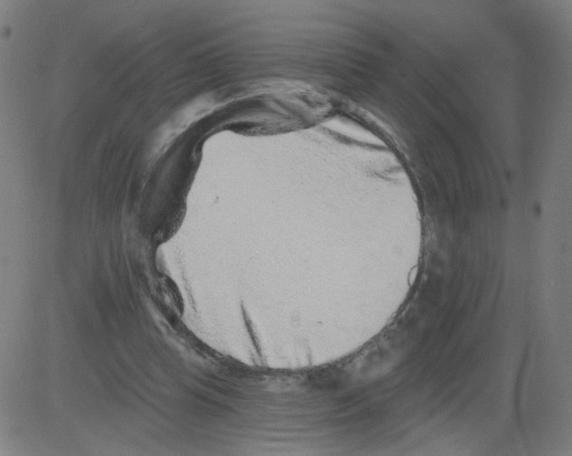 X0000081440345200702092230