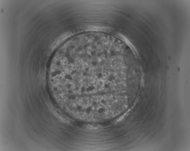 X0000081440346200702092230