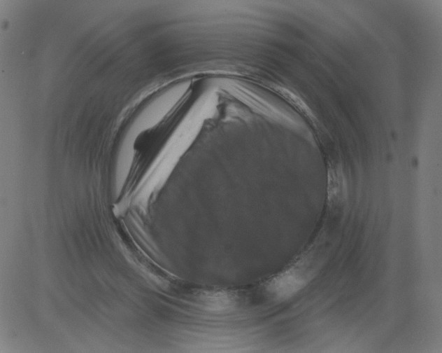 X0000081440349200702092230