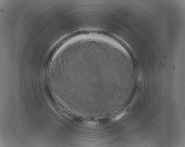 X0000081440352200702092230