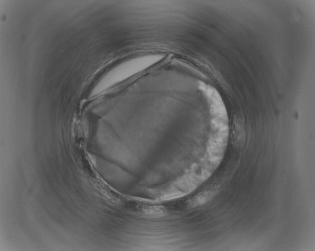 X0000081440355200702092230