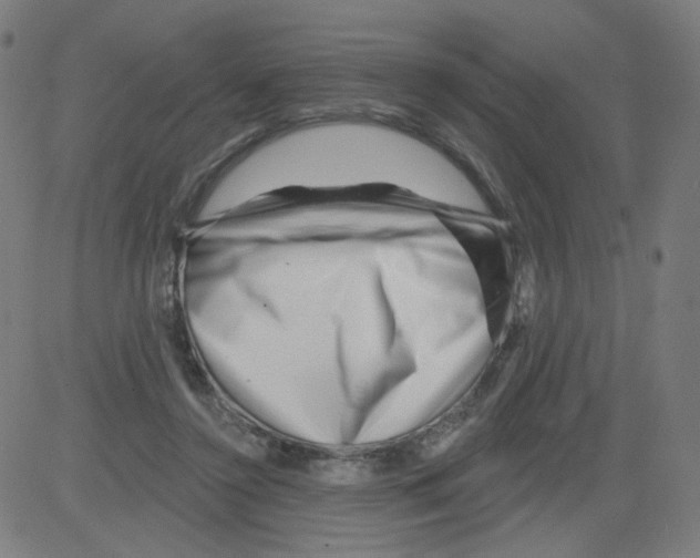 X0000081440356200702092230