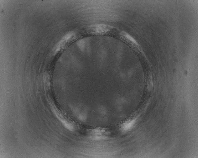 X0000081440366200702092230