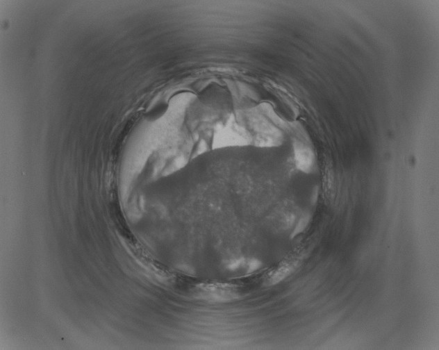 X0000081440367200702092230