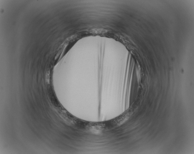 X0000081440368200702092230