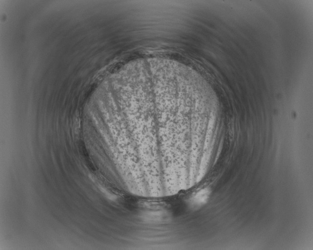 X0000081440372200702092231