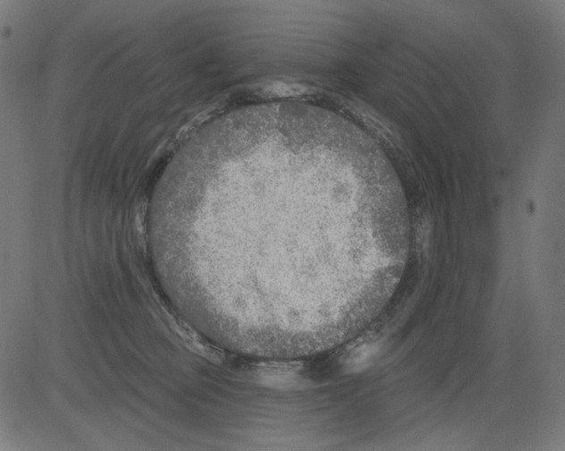 X0000081440373200702092231