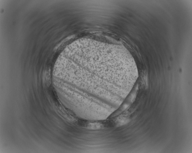 X0000081440376200702092231
