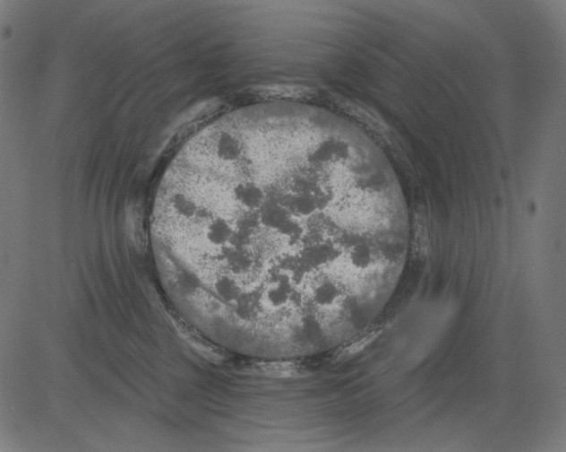 X0000081440377200702092231