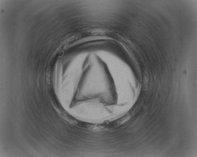 X0000081440379200702092231