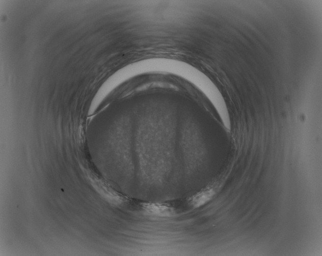 X0000081440380200702092231