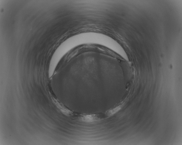 X0000081440382200702092231