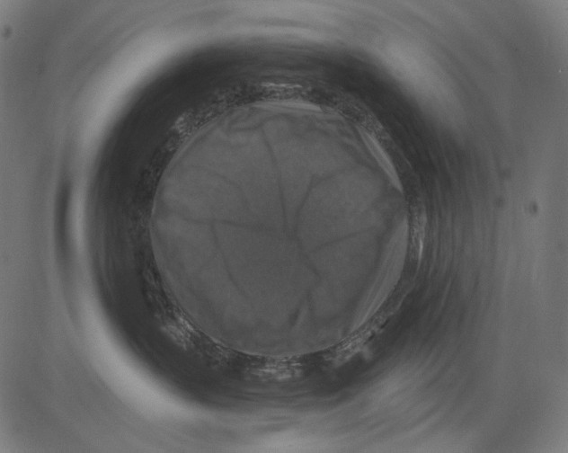 X0000081440383200702092231