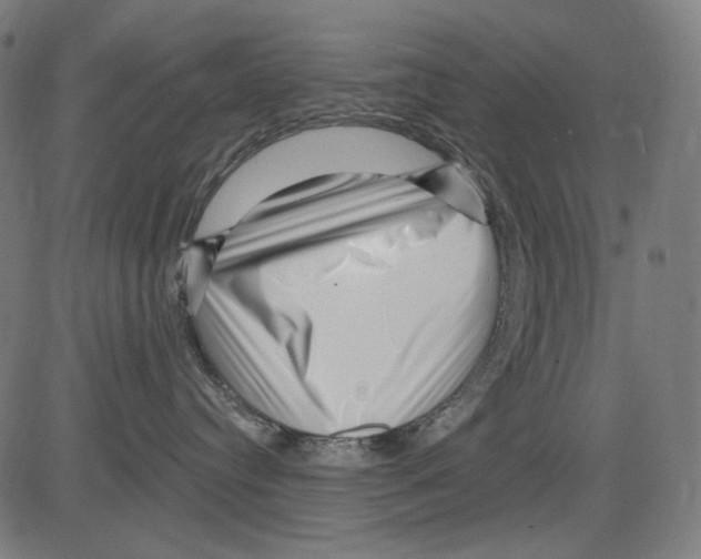 X0000081440384200702092231