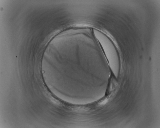 X0000081440385200702092230