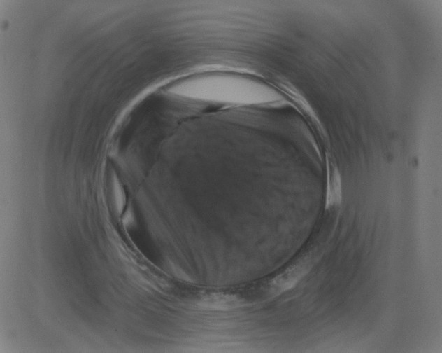 X0000081440387200702092230