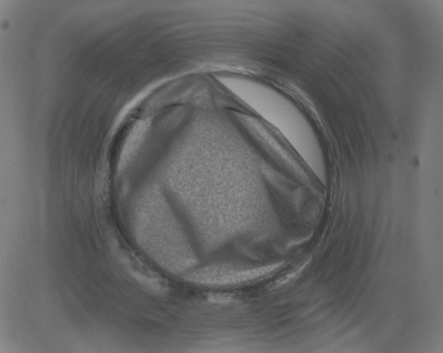X0000081440388200702092230