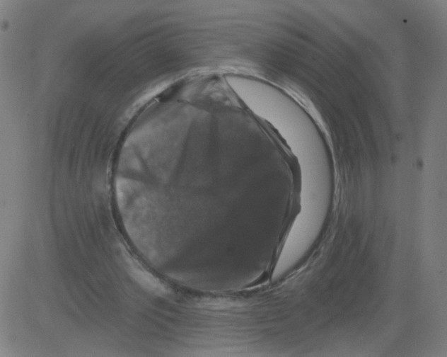 X0000081440389200702092230