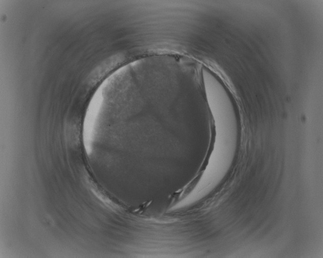 X0000081440393200702092230