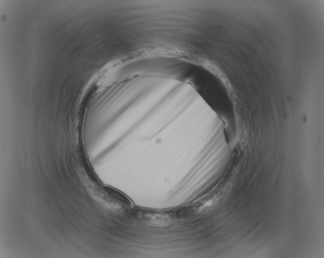X0000081440395200702092230
