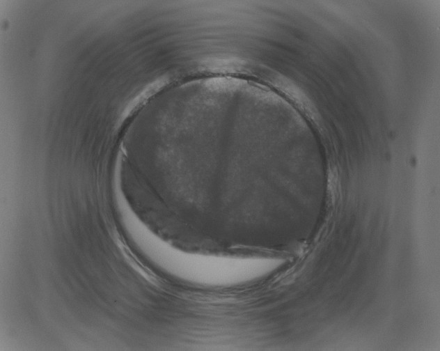 X0000081440397200702092230