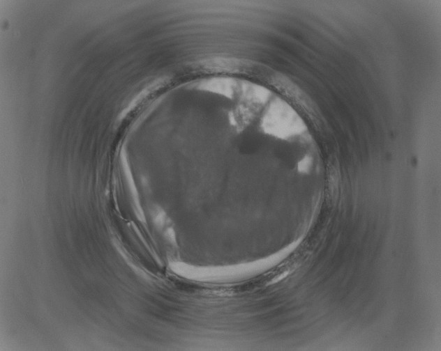X0000081440398200702092230