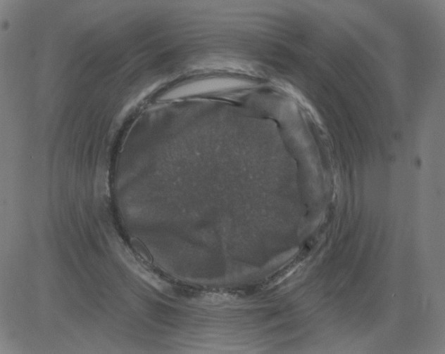 X0000081440399200702092230