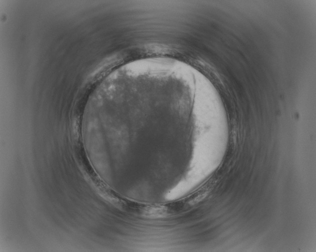 X0000081440410200702092230