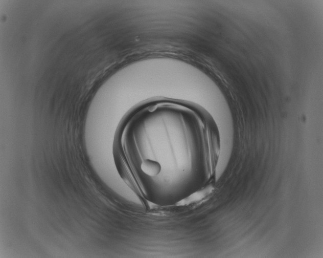 X0000081440411200702092230