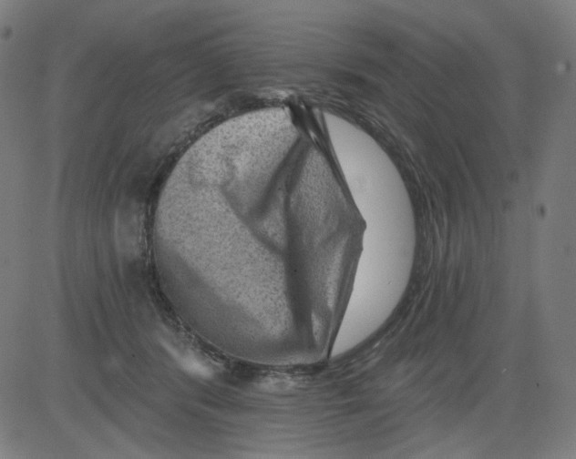 X0000081440416200702092229
