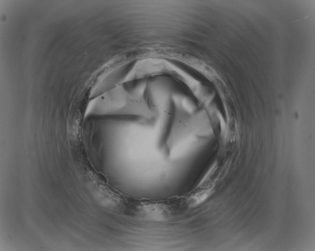 X0000081440417200702092229