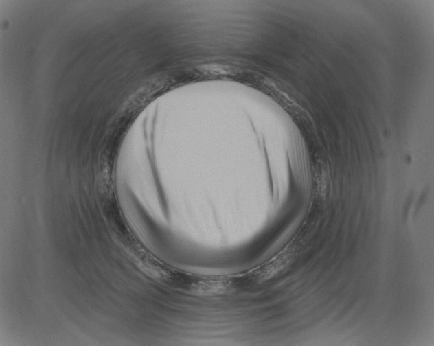 X0000081440418200702092229
